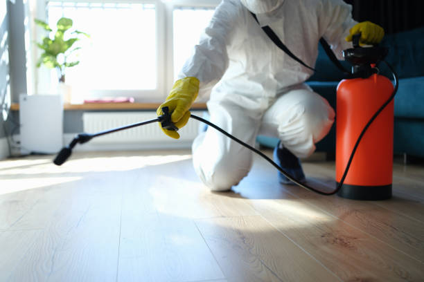 Flea Control Services in Centralia, IL